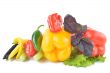 Different kinds of peppers