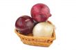White and red onion on a white background