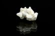 piece of popcorn