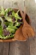 vegetable salad in wooden bowl