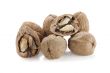 walnuts close up