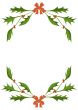 Holly frame