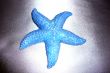 Souvenir "Starfish" on a dark gray shiny background.