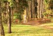 Decorative vase in park