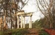 Antique arbor in the evening light