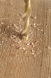 drilling a hole in a wood