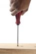 screw and screwdriver in wood
