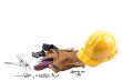close up shot of hard hat