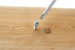 close up shot of screw driver and screw