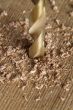 bit drilling through wood
