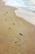 Foot prints on a sandy beach 