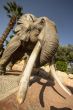 Statue of an African Elephant
