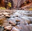 milky stream