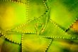 geometric leaves
