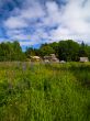 grassy neighbourhood