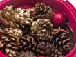 Mixed Pinecones