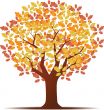 autumn background with trees and leaves