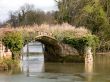 bridge on the water