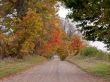 road during fall