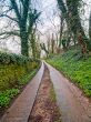 forest walkway in cotswold