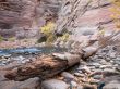 water pool on the rocks