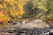 river with rocks and trees