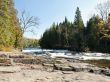 view of trees and river