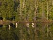 reflection on lake