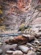 water collecting on rocks