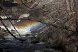 rainbow above flowing water
