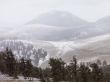 pine trees and mountains in background