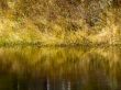 riverbank in ontario