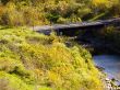 bridge over a creek