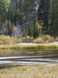 view of a calm lake and trees