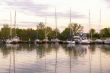 boats on the harbor