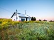 Abandoned house in field