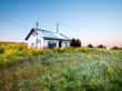 Abandoned house in field