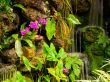 gentle waterfall and bright pink flowers