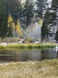 scenic shot of lake and trees