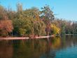 view of lake and trees