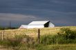 farmhouse in a field