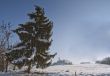 Snowscape