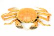 Hairy crab