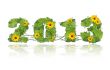 New year 2013. Date lined green leaves and flower.