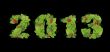 New year 2013. Date lined green leaves with red berry. Isolated