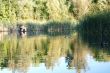 Duck pond