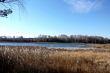 A simple autumn daytime landscape.