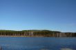 Lake, pine forests and clear skies.