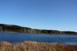 Cloudless sky, lake and forest.