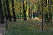 Autumn in the Park